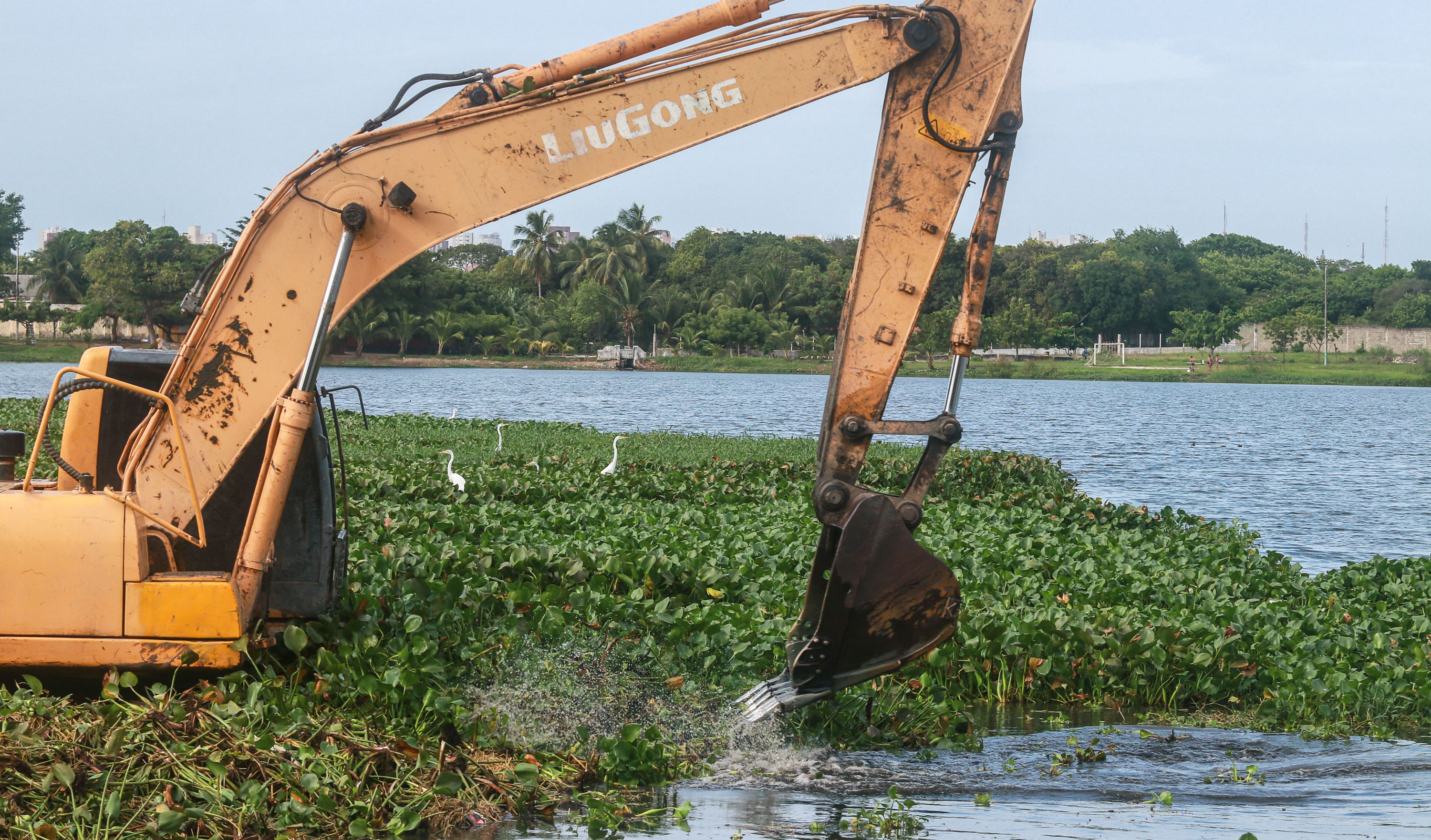 máquina escavadeira limpa uma lagoa